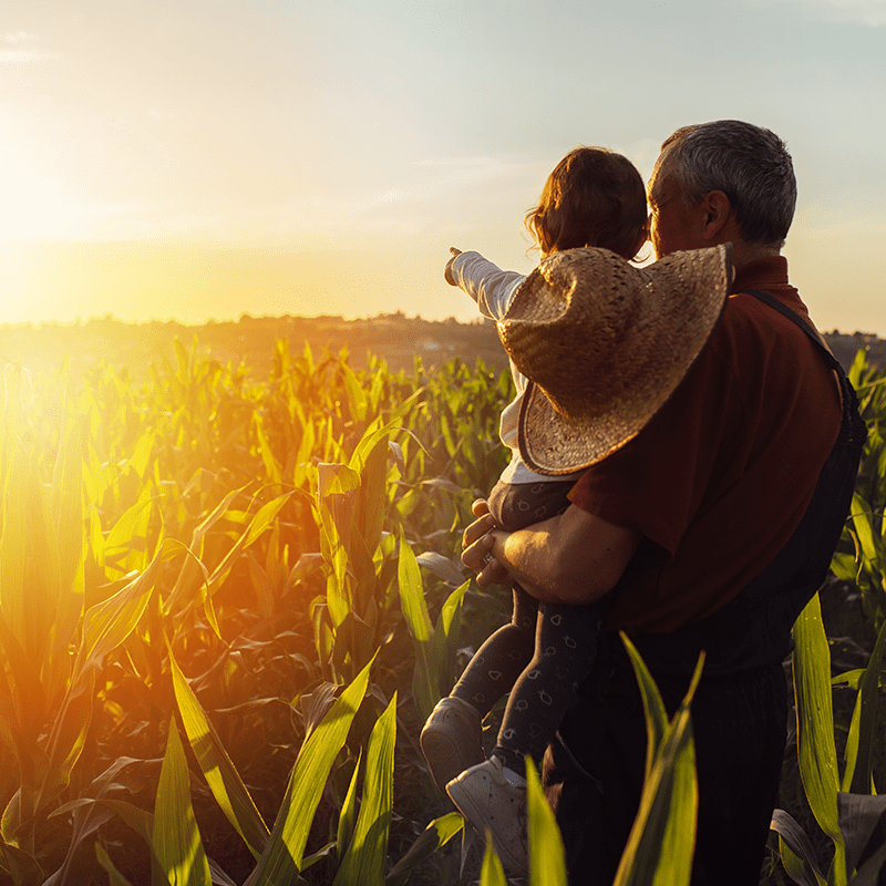 EPB - Extrato Pirolenhoso do Brasil