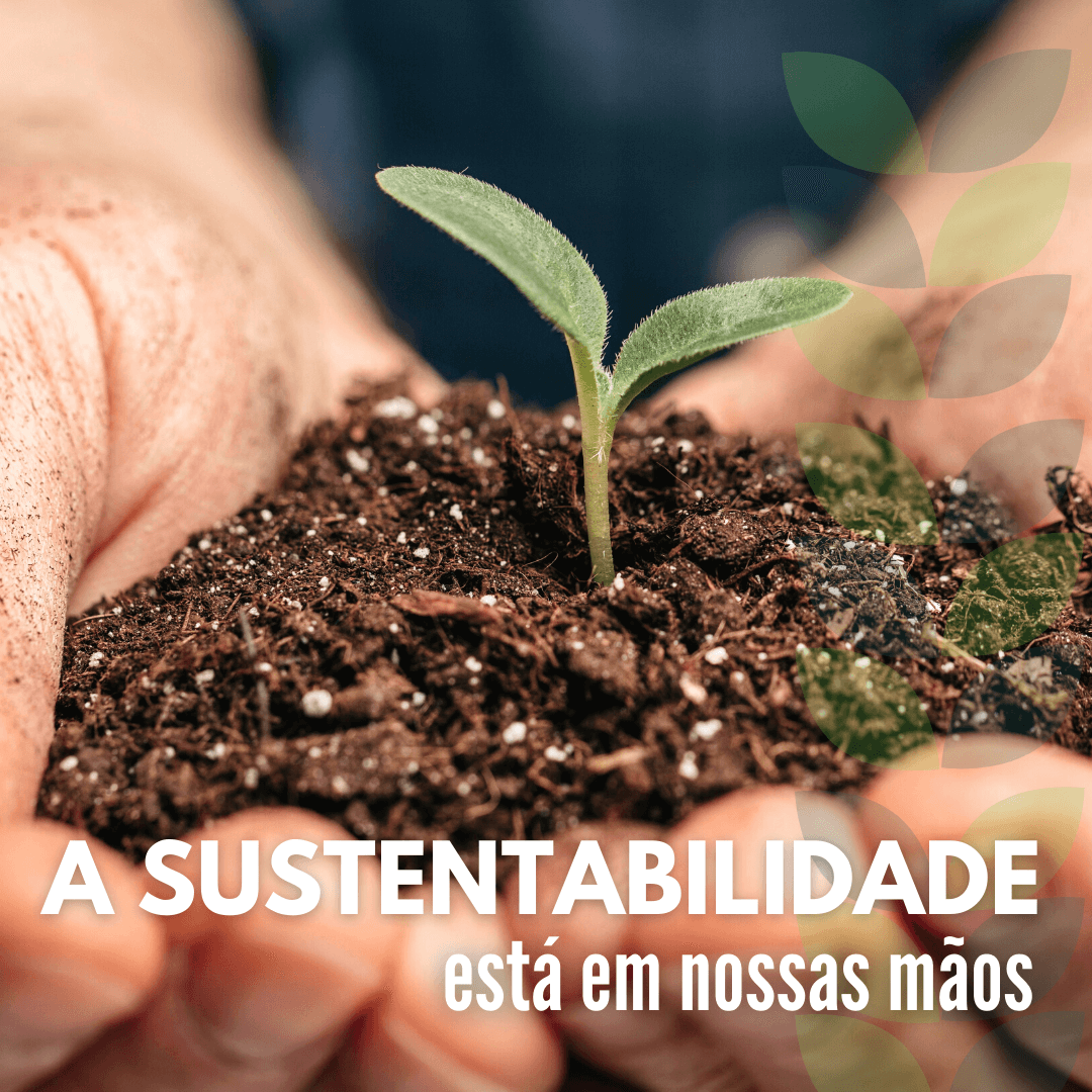 extrato-pirolenhoso-bases-sustentáveis-plano-safra