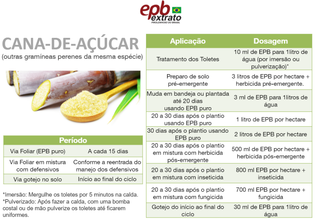 EPB - Extrato Pirolenhoso do Brasil