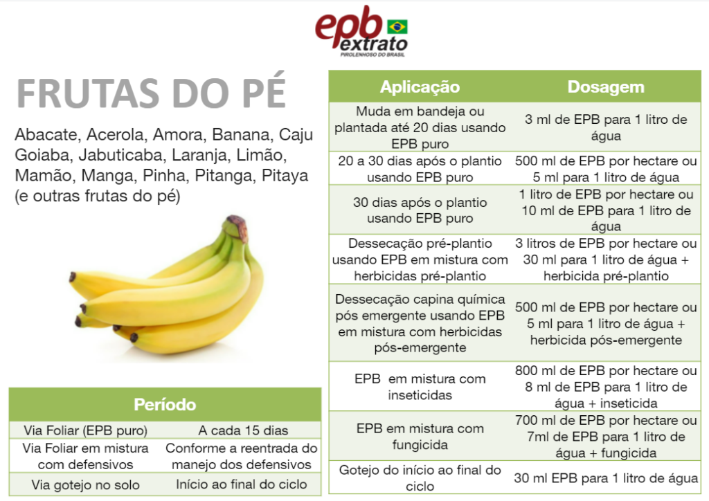 EPB - Extrato Pirolenhoso do Brasil