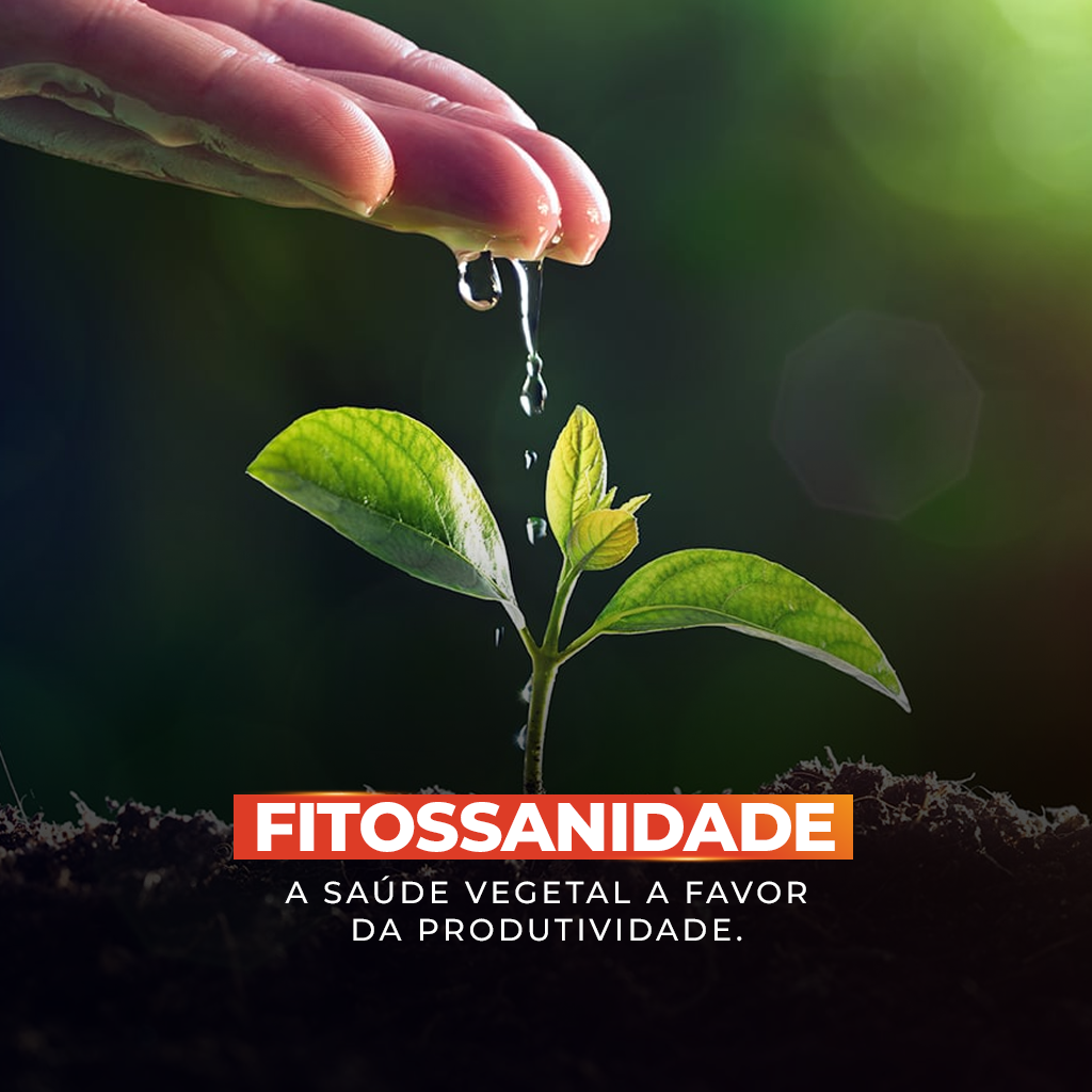 fitossanidade
