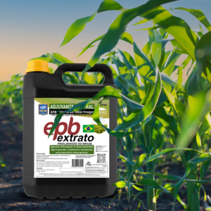 Agricultura: produtividade e lucratividade